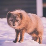 剧情番号 0lfopkj