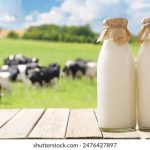 第一页综合 mz3pv3